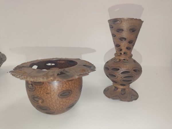Banksia - Image 3