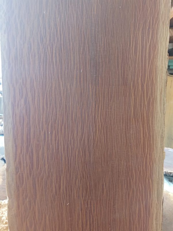 Slab C - Western Australia Sheoak - Image 2
