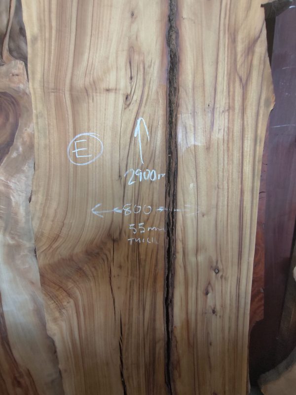Slab E - Camphor Laurel - Image 3