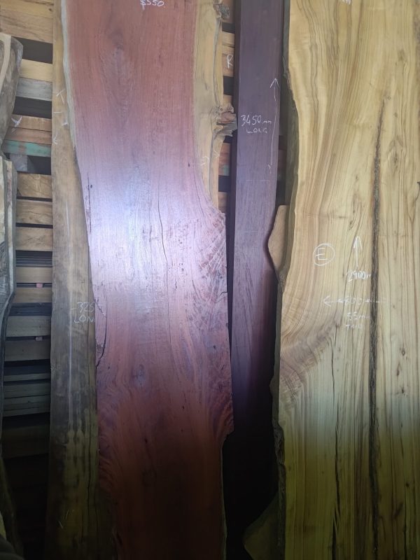 Slab H - River Red Gum - Image 2
