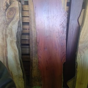 Slab H - River Red Gum