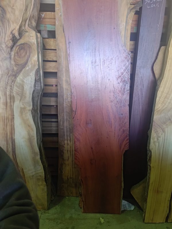 Slab H - River Red Gum