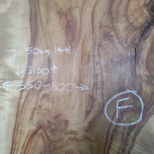 Slab F - Camphor Laurel