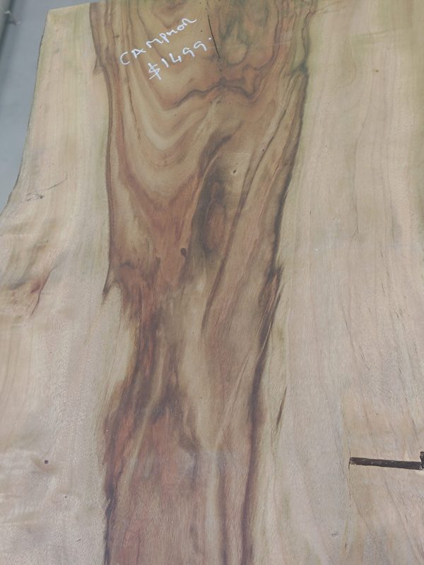 Slab F - Camphor Laurel - Image 3