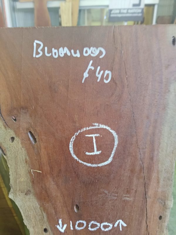 Slab I - NSW Bloodwood - Image 3