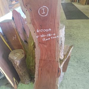 Slab I - NSW Bloodwood