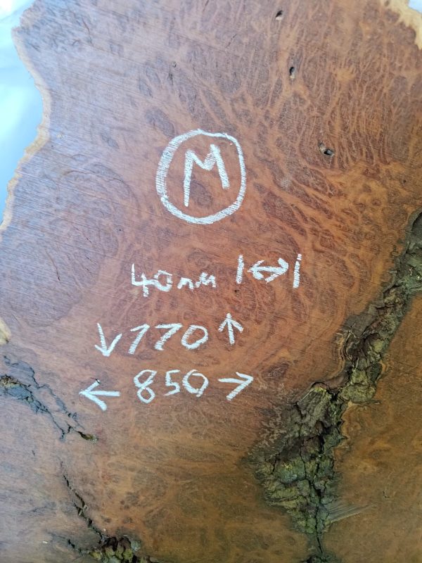 Slab M - Coolibah Burl - Image 3