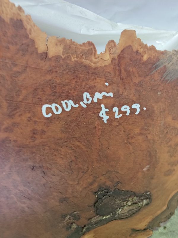 Slab M - Coolibah Burl - Image 2