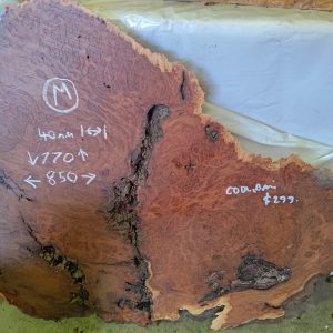 Slab M - Coolibah Burl