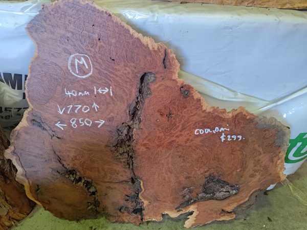 Slab M - Coolibah Burl