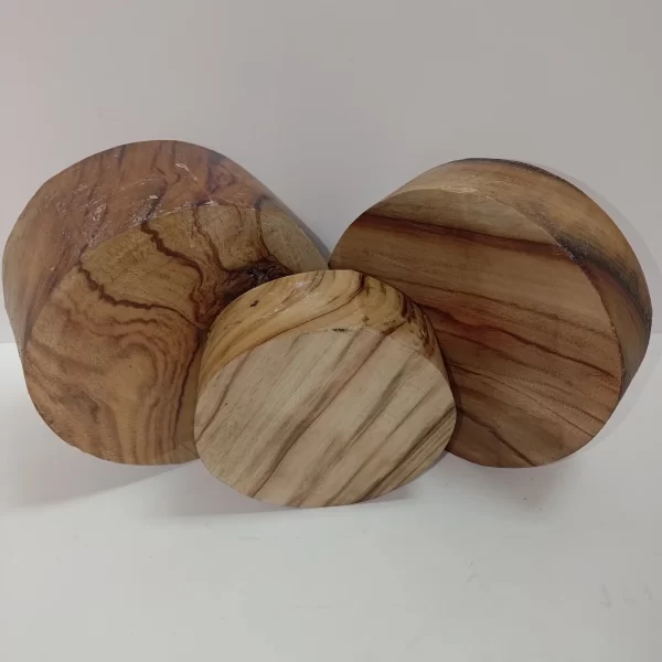 Camphor Laurel Pre-Cut Bowl Blanks
