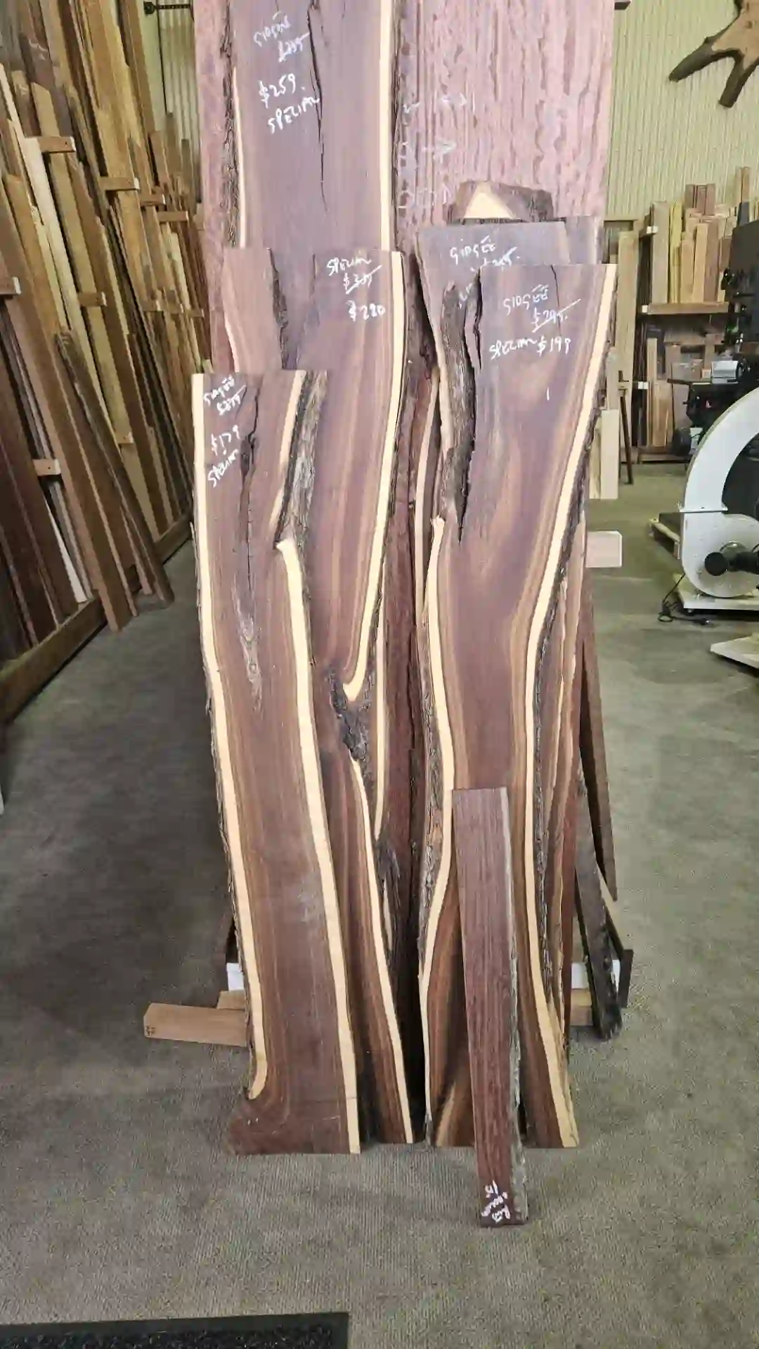 Trend_Timbers_Sale_Day1