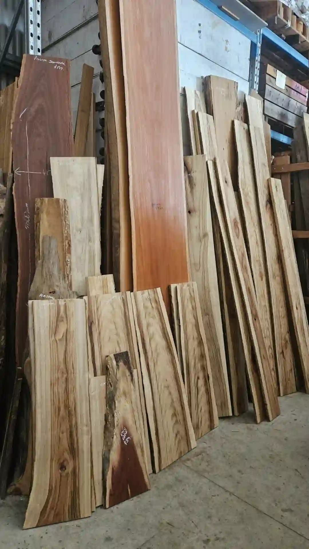 Trend_Timbers_Sale_Day10