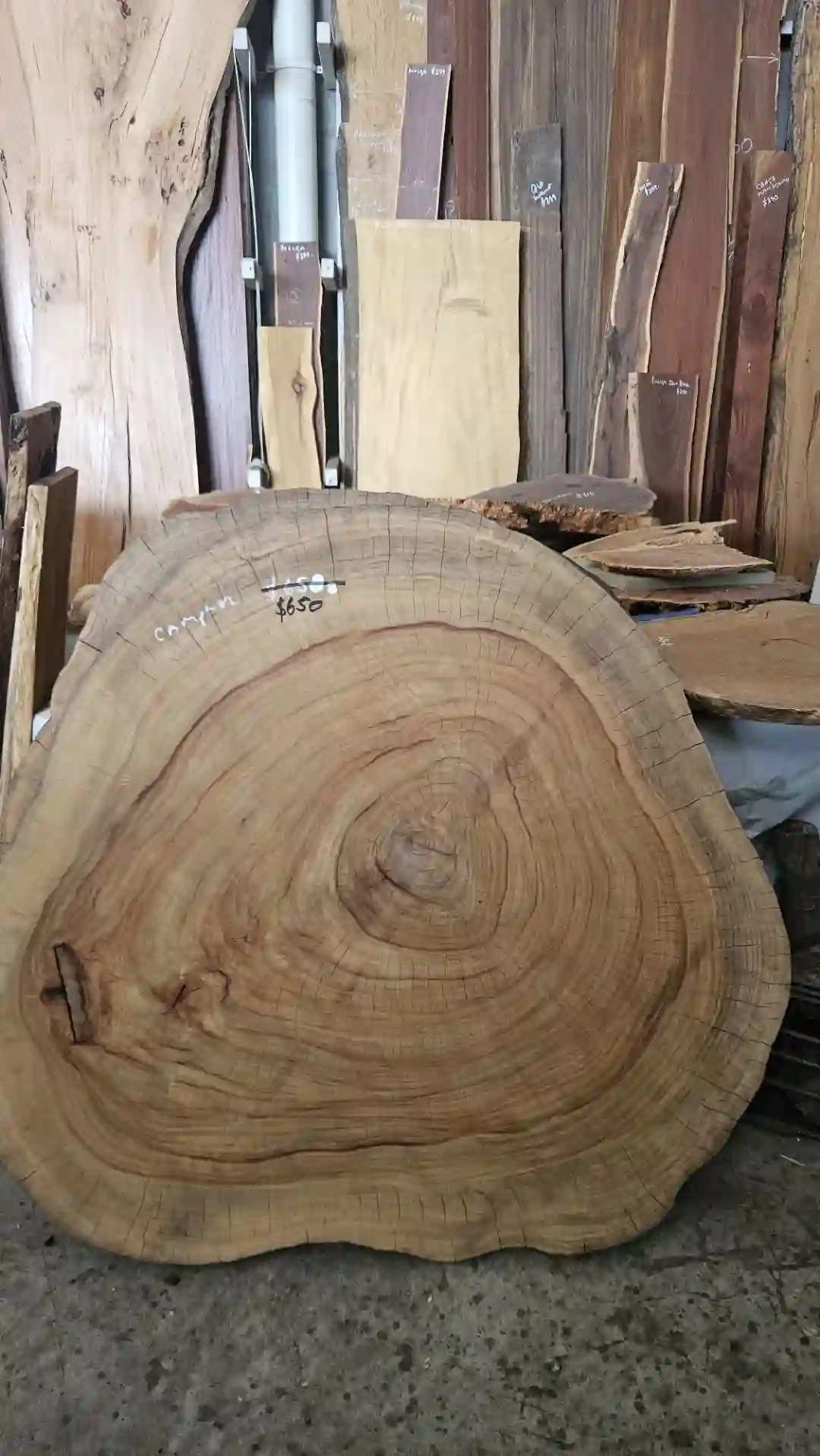 Trend_Timbers_Sale_Day12