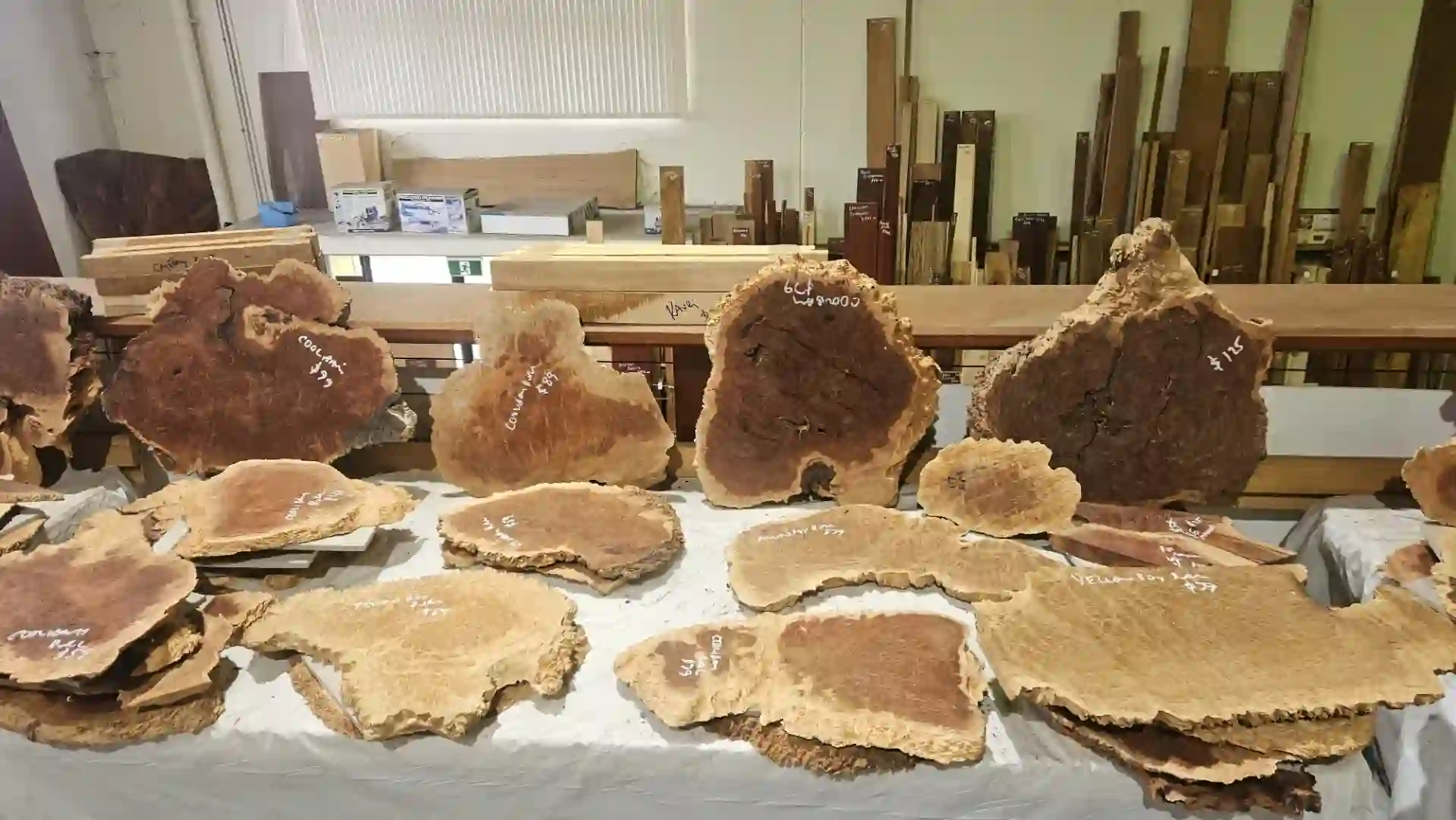 Trend_Timbers_Sale_Day4