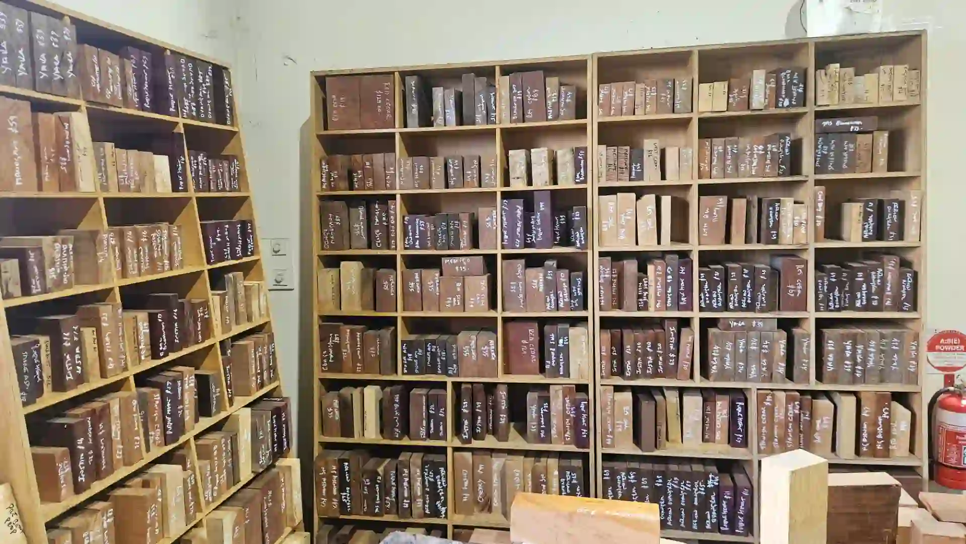 Trend_Timbers_Sale_Day6