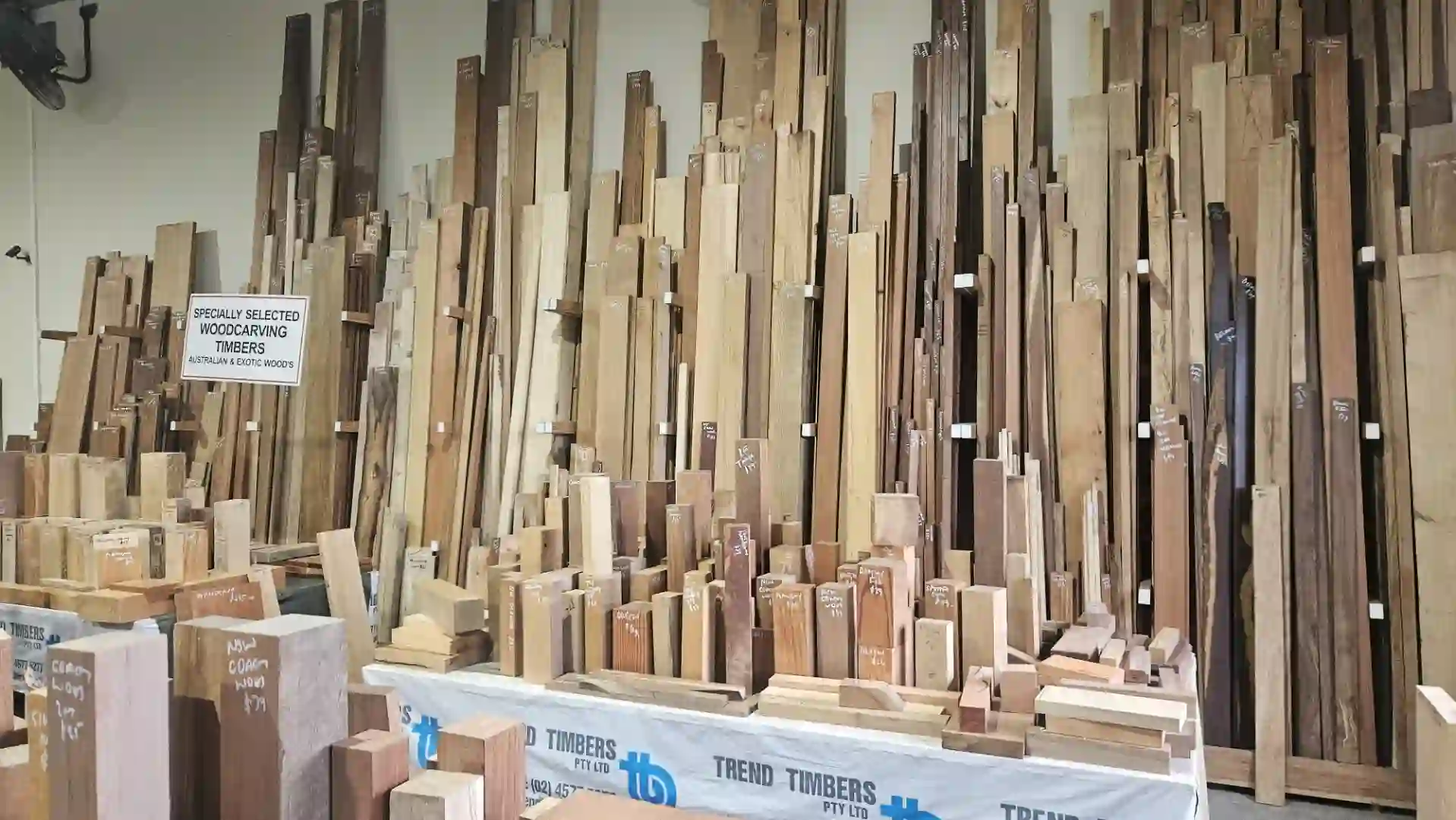 Trend_Timbers_Sale_Day8