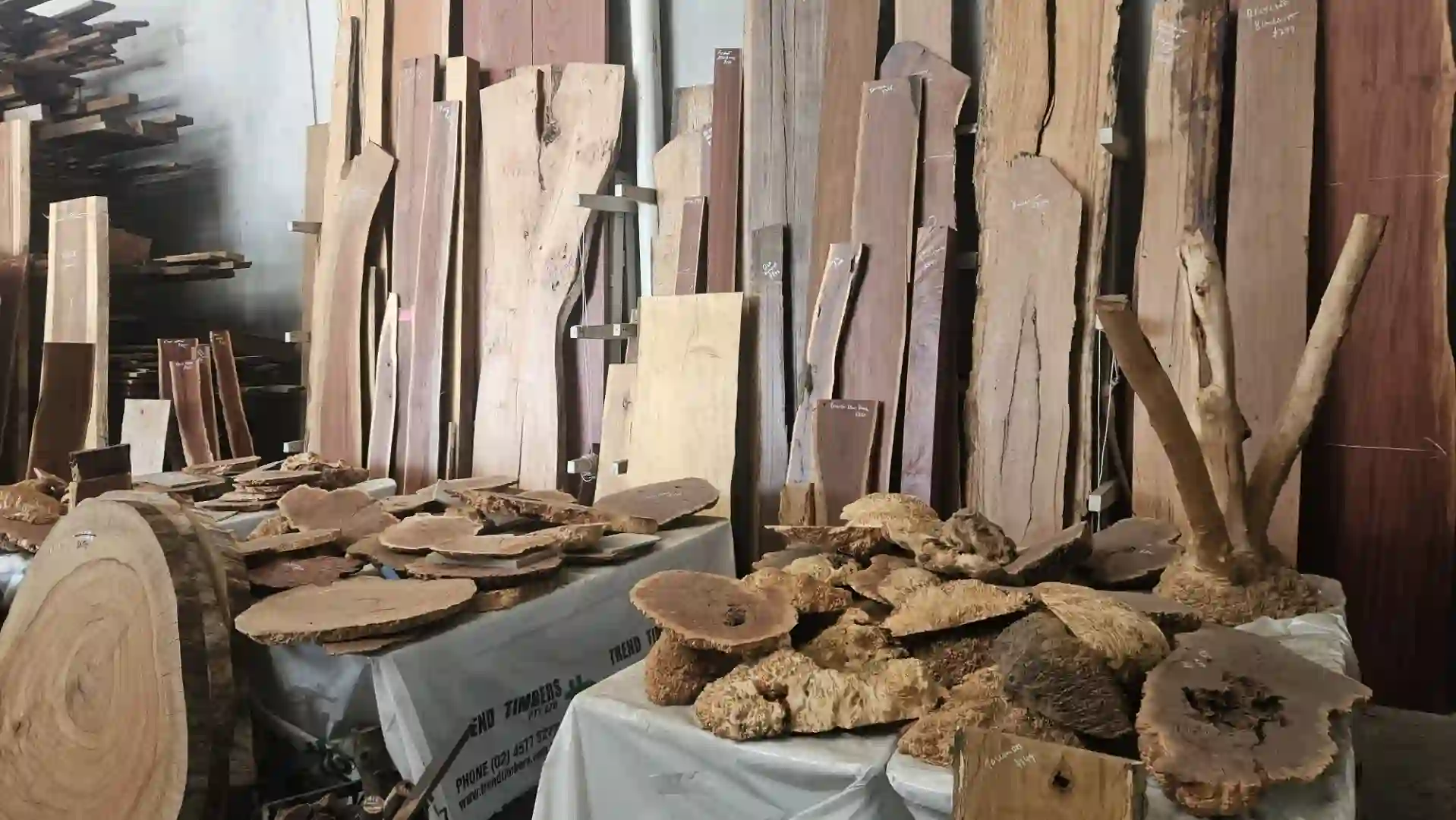 Trend_Timbers_Sale_Day9