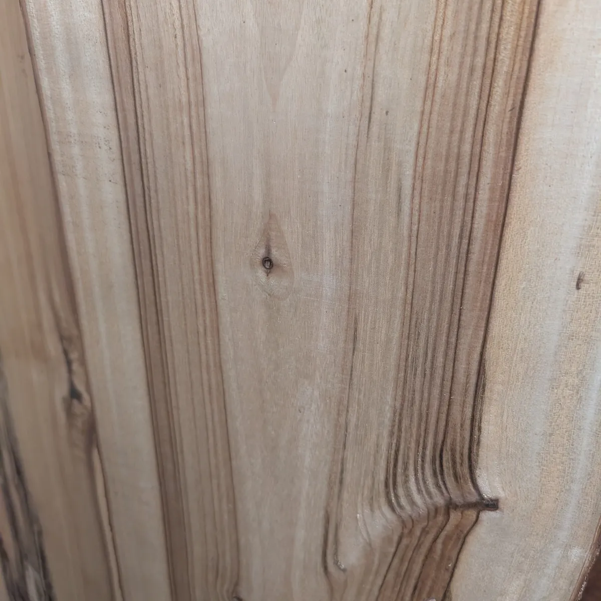 Camphor Laurel square bowl blank for woodturning - Trend Timbers