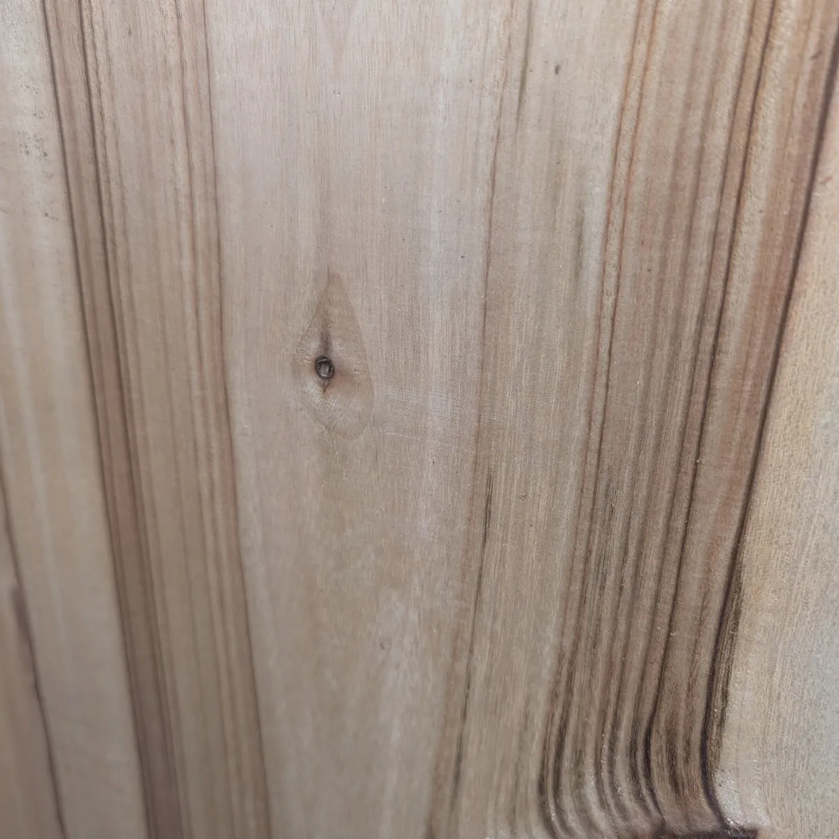 Camphor Laurel bowl blank showing grain detail - Trend Timbers