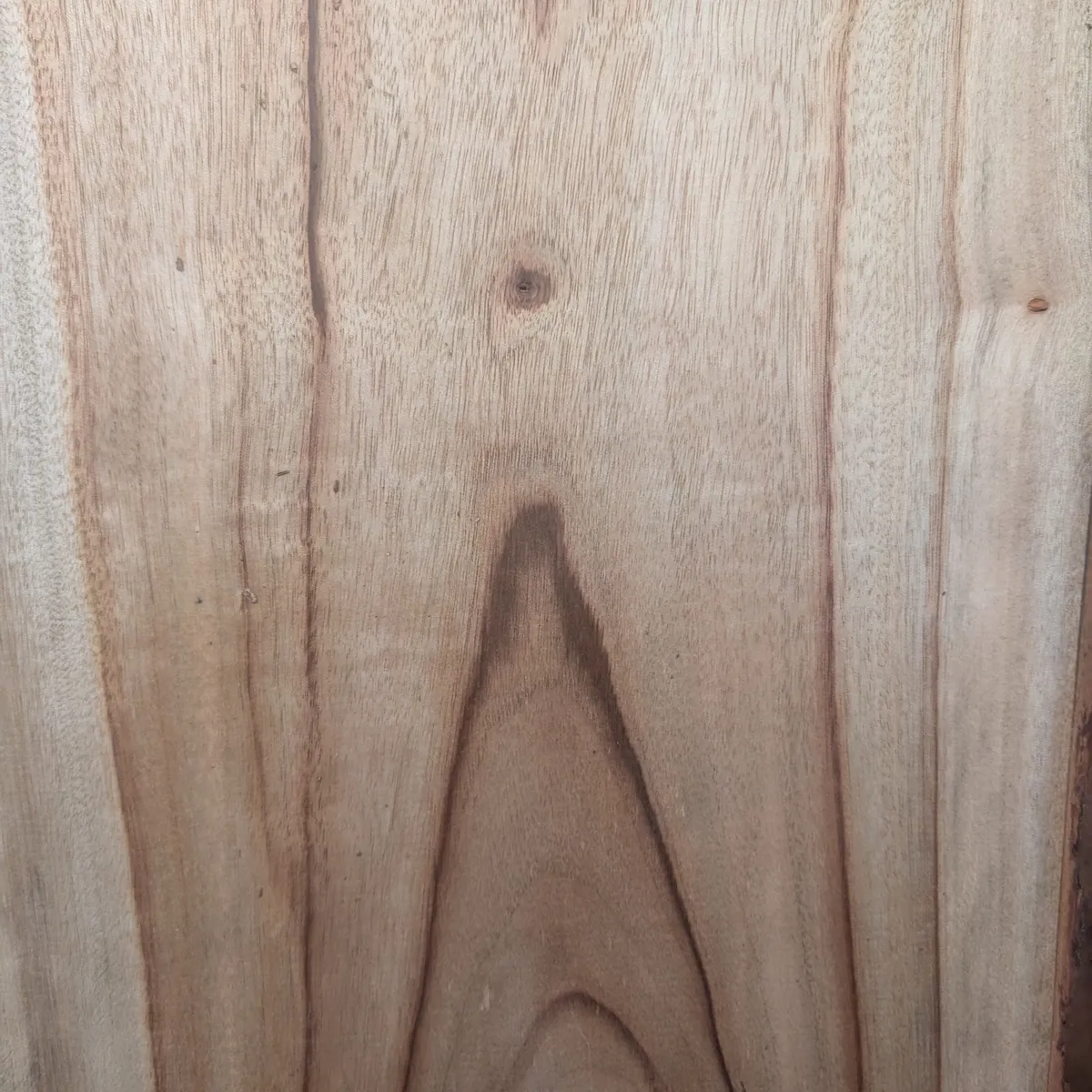 Camphor Laurel turning blank colour variation - Trend Timbers