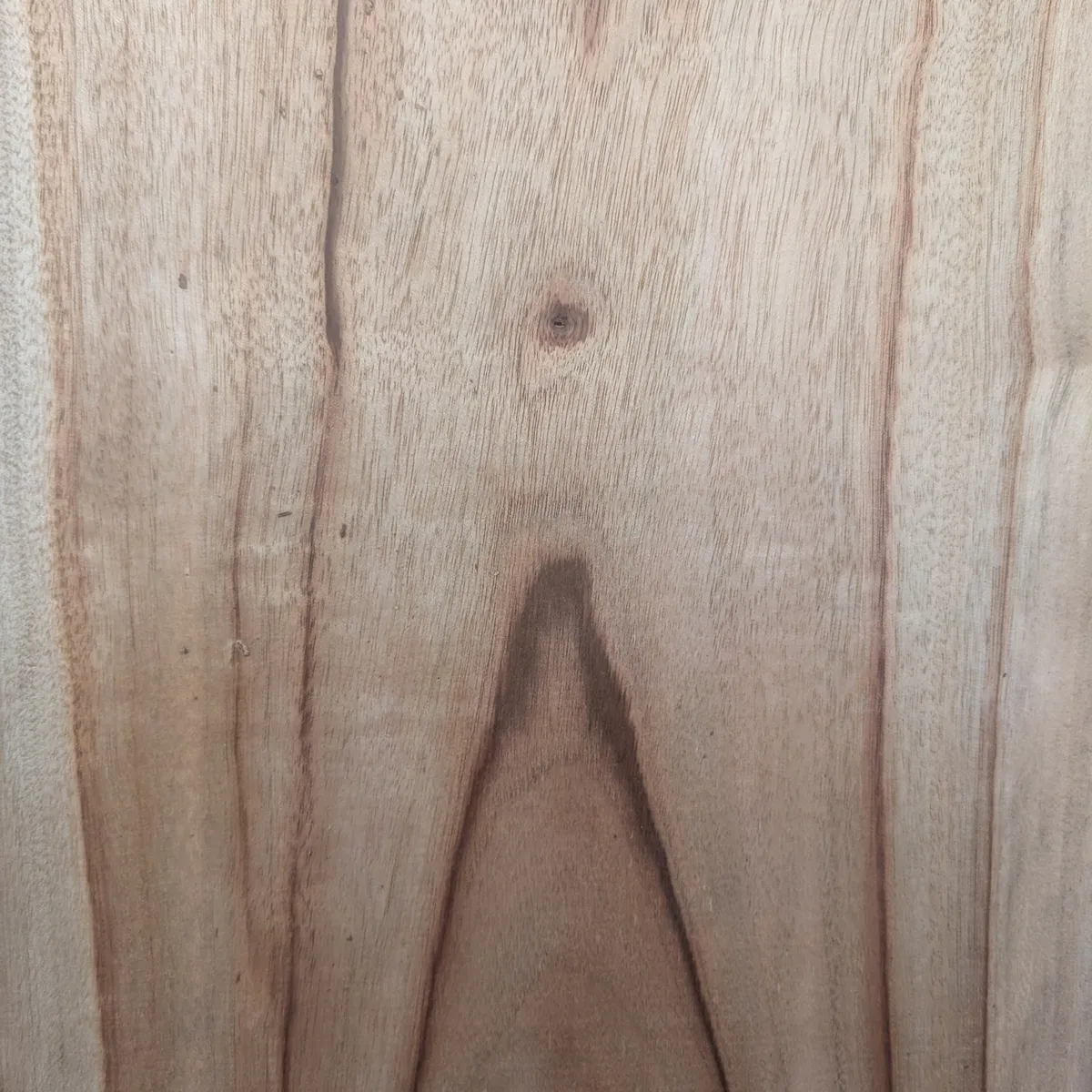 Camphor Laurel bowl blanks stacked - Trend Timbers