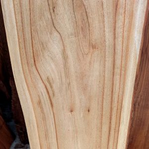 Camphor laurel mini-slab dressed for charcuterie boards