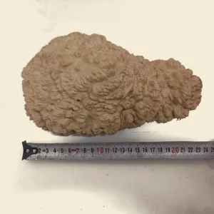 Mallee Burls - Category "B"