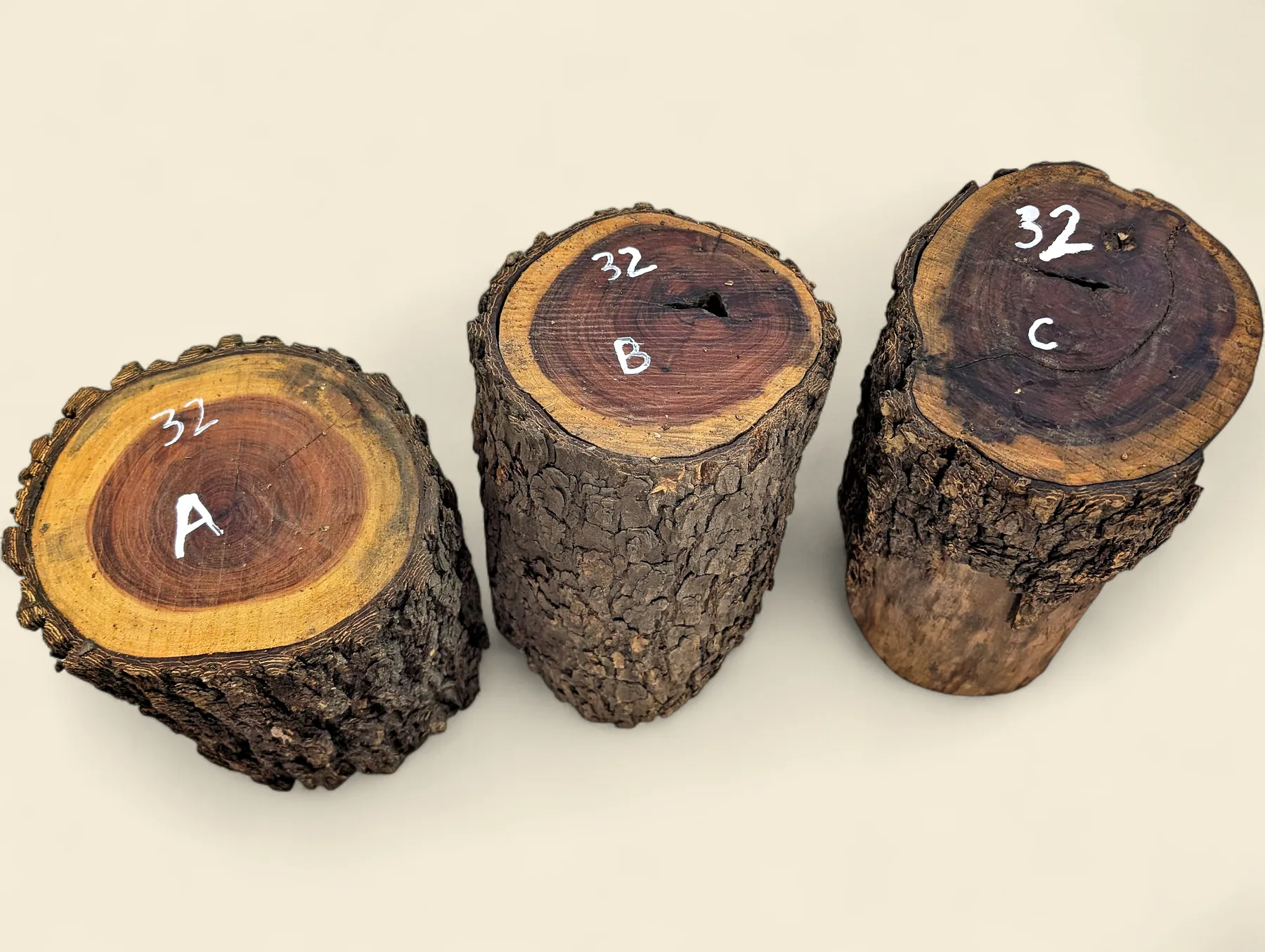 Red Lancewood turning log, natural round with bark, Trend Timbers Reserve Selection