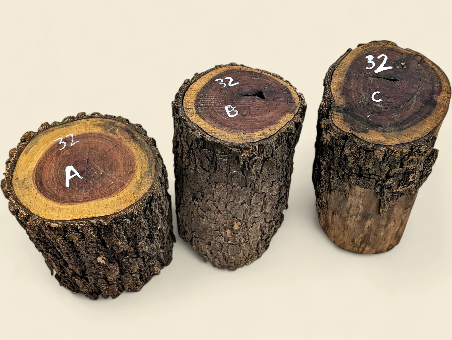 Red Lancewood turning log, natural round with bark, Trend Timbers Reserve Selection
