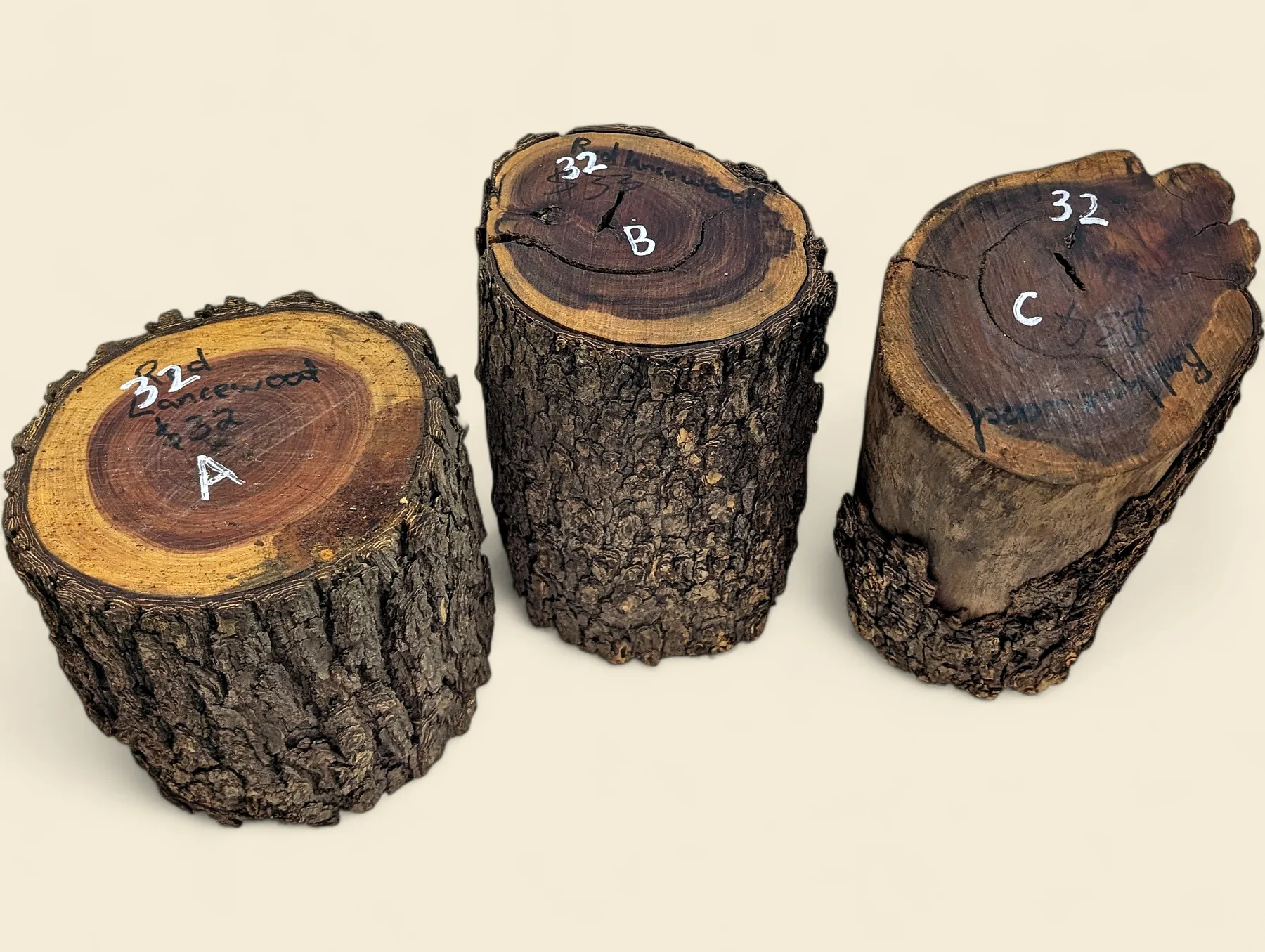Red Lancewood turning log, natural round with bark, Trend Timbers Reserve Selection