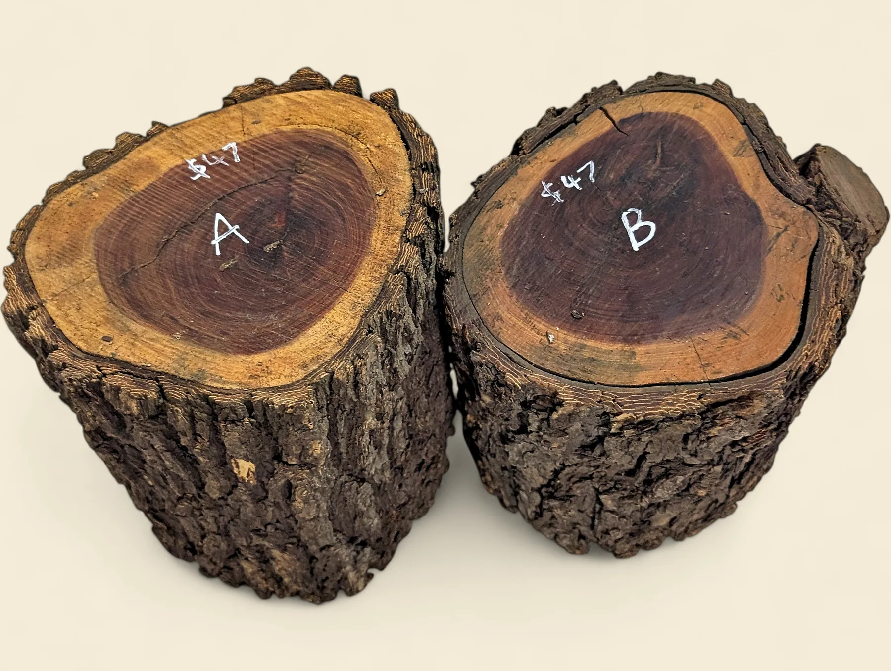 Red Lancewood turning log, natural round with bark, Trend Timbers Reserve Selection