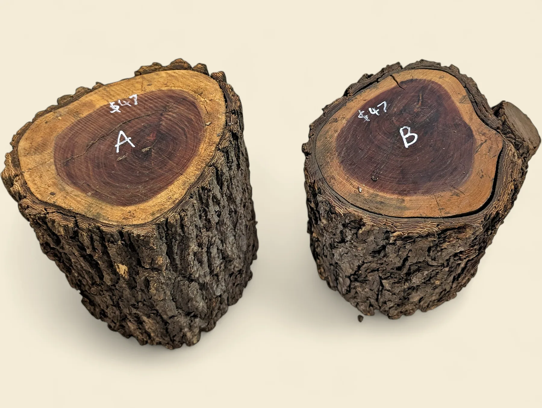 Red Lancewood turning log, natural round with bark, Trend Timbers Reserve Selection