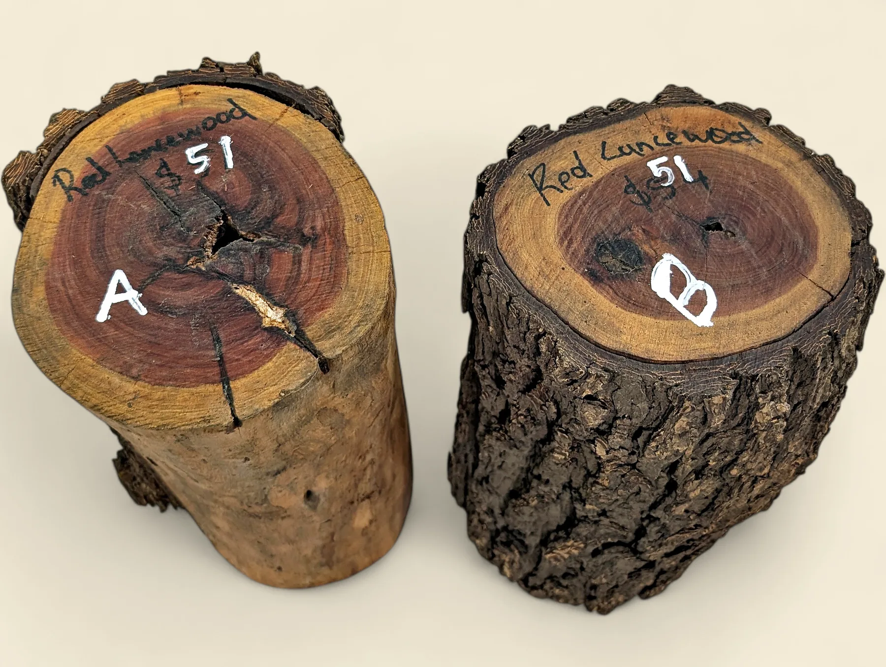 Red Lancewood turning log, natural round with bark, Trend Timbers Reserve Selection
