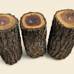 Red Lancewood turning log, natural round with bark, Trend Timbers Reserve Selection