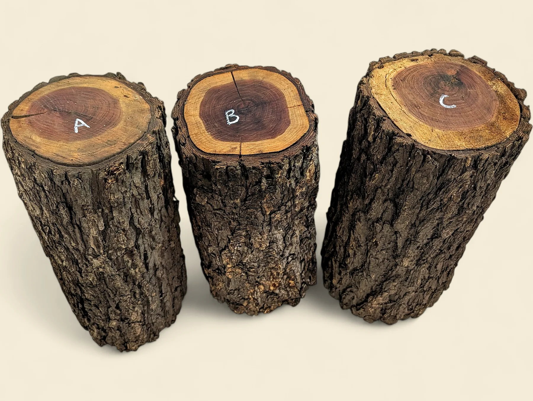 Red Lancewood turning log, natural round with bark, Trend Timbers Reserve Selection