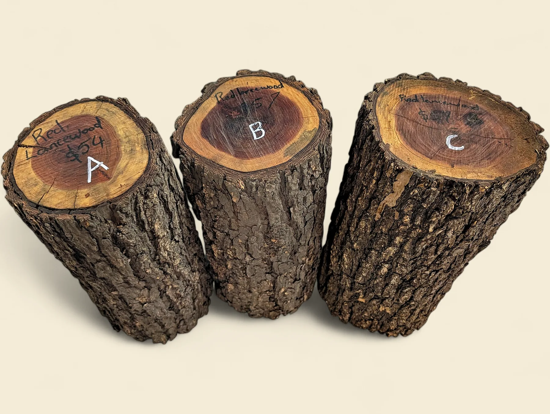Red Lancewood turning log, natural round with bark, Trend Timbers Reserve Selection