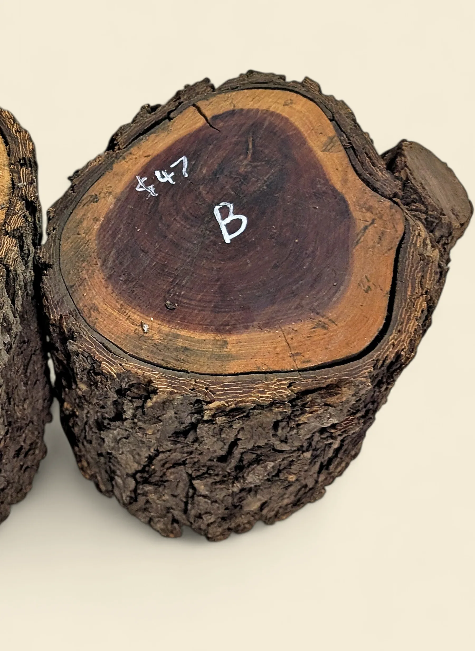 Red Lancewood turning log chalk-marked 47B, natural round with bark, the exact log supplied — Trend Timbers Reserve Selection
