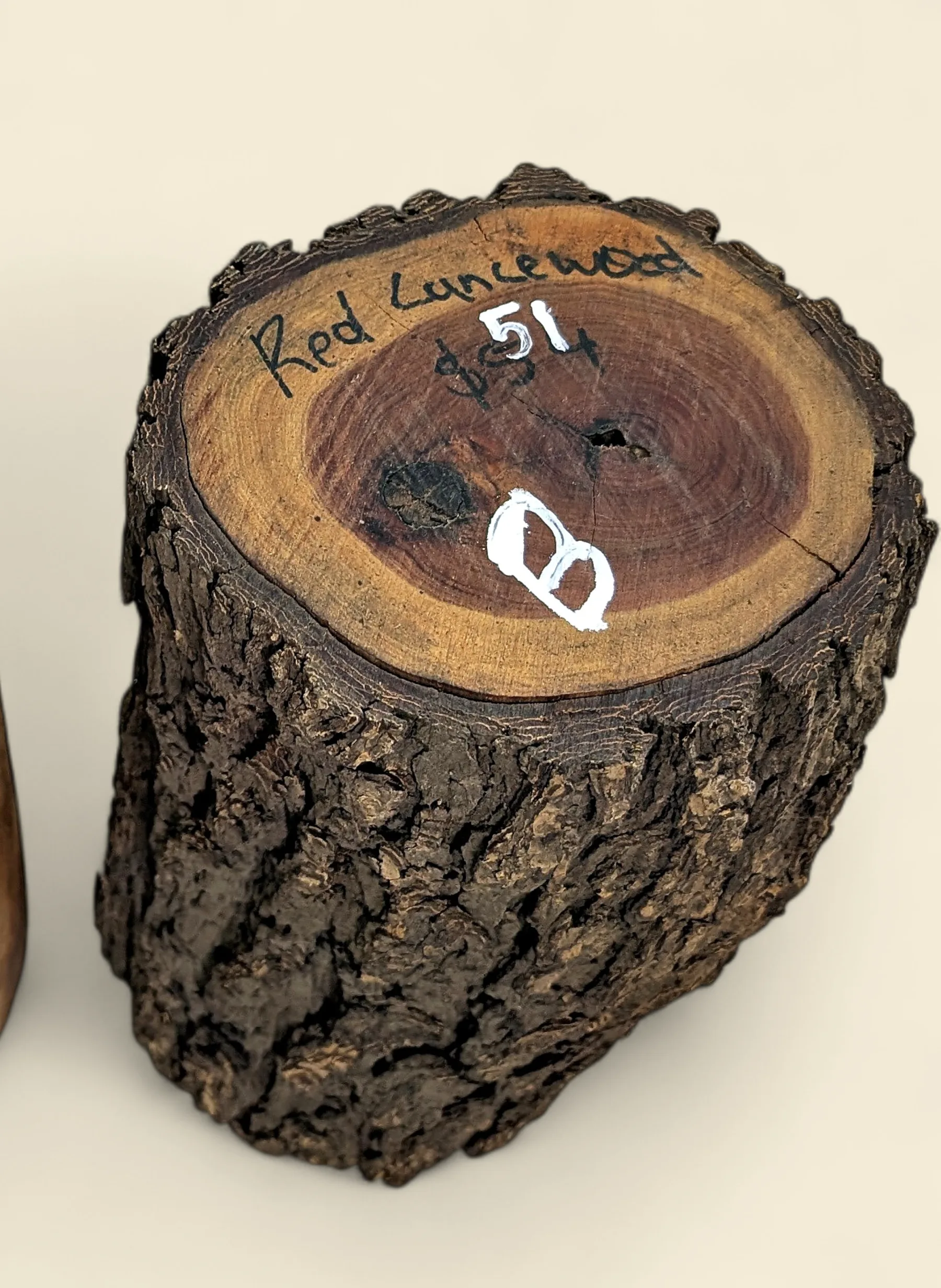 Red Lancewood turning log chalk-marked 51B, natural round with bark, the exact log supplied — Trend Timbers Reserve Selection