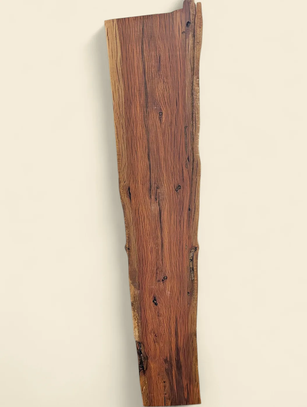 Buloke dressed live edge slab B, 210 x 22 x 1300mm - reverse face - Trend Timbers