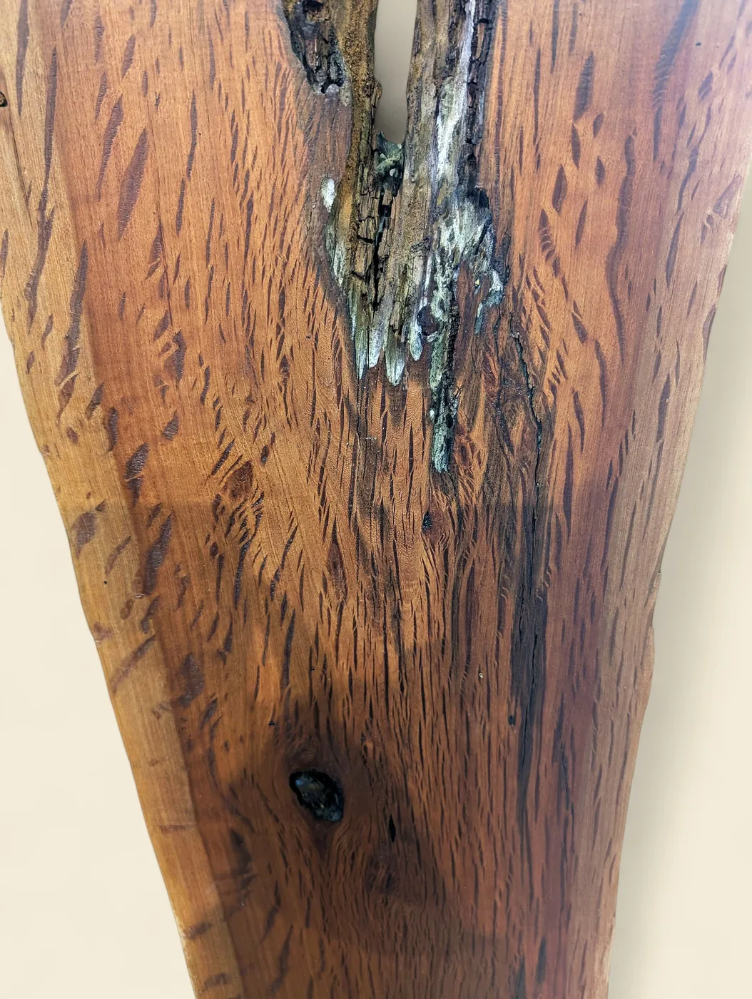 Buloke dressed live edge slab D, 240 x 22 x 1500mm - face detail showing grain and ray fleck - Trend Timbers