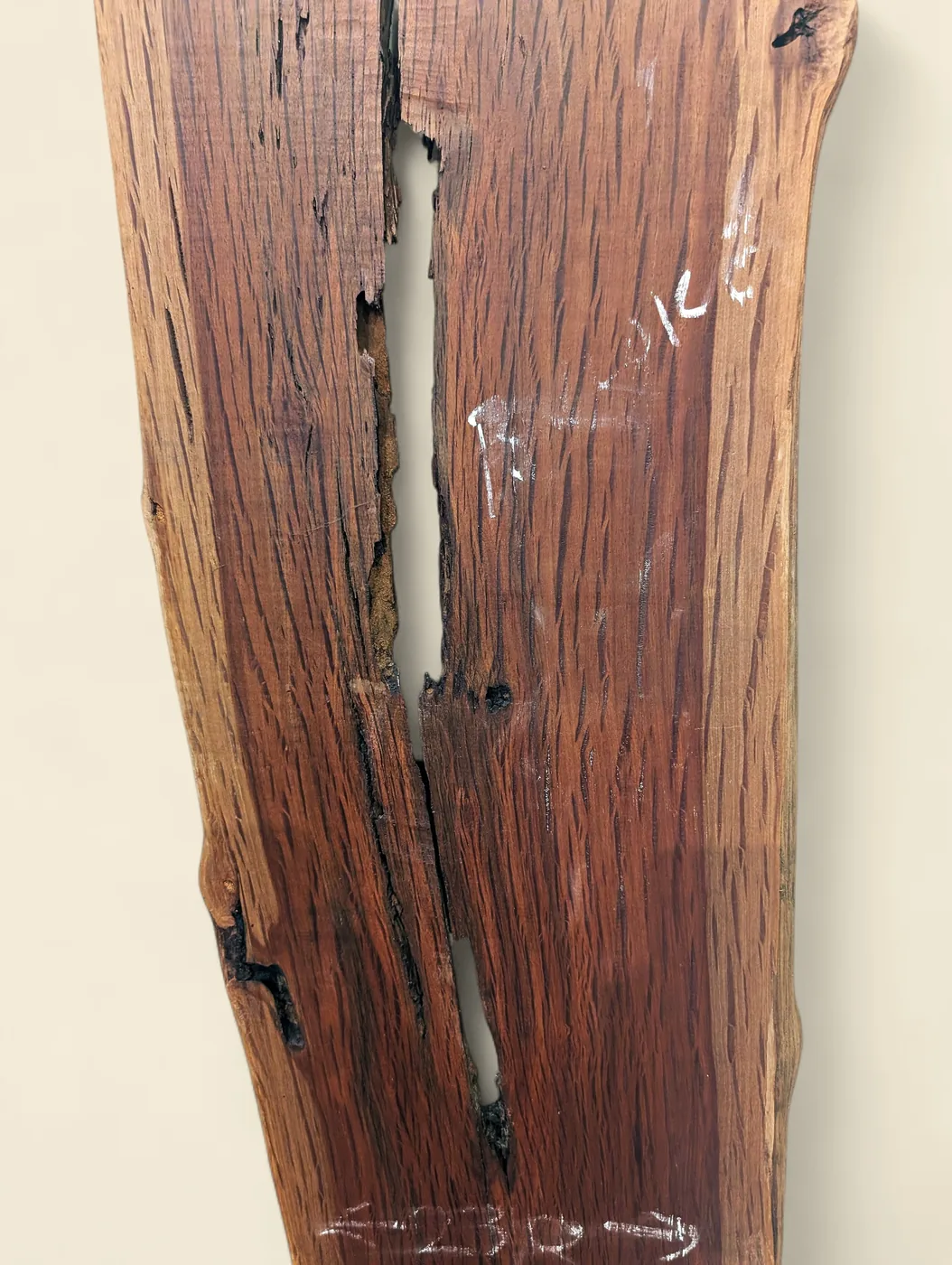 Buloke dressed live edge slab D, 240 x 22 x 1500mm - feature detail - Trend Timbers