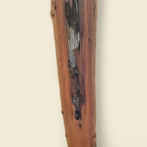 Buloke dressed live edge slab F, 200 x 22 x 1300mm - reverse face - Trend Timbers