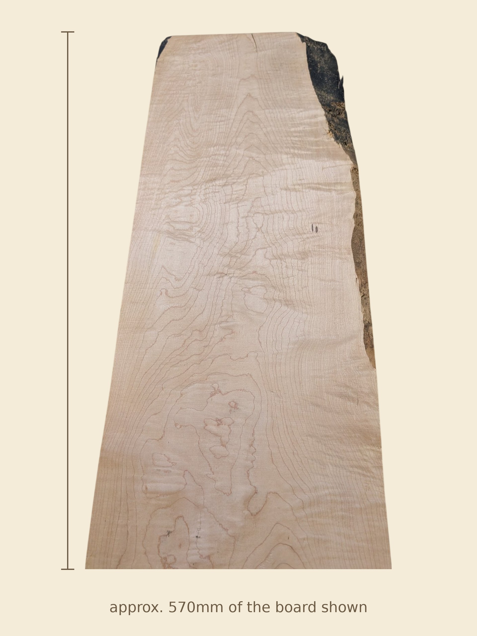 Curly maple board