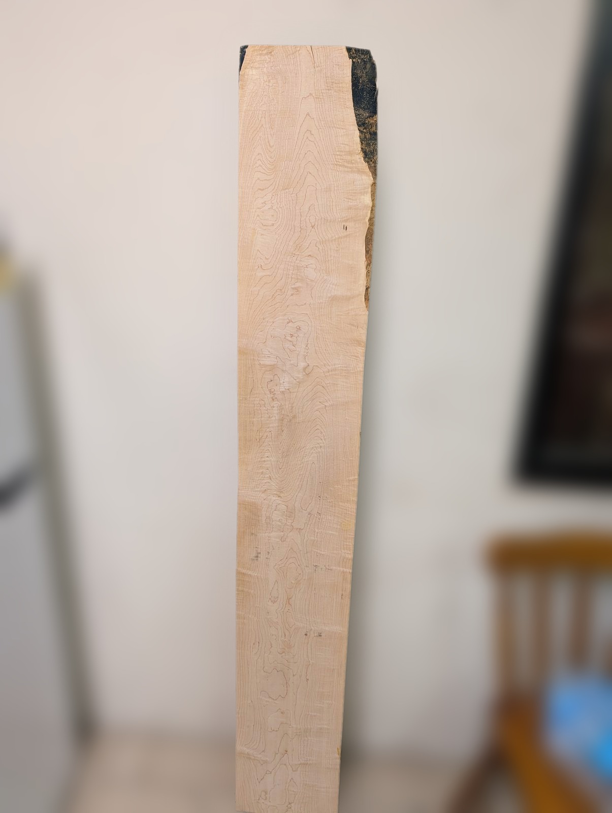 Curly Rock Maple board 3, the whole board standing against a wall