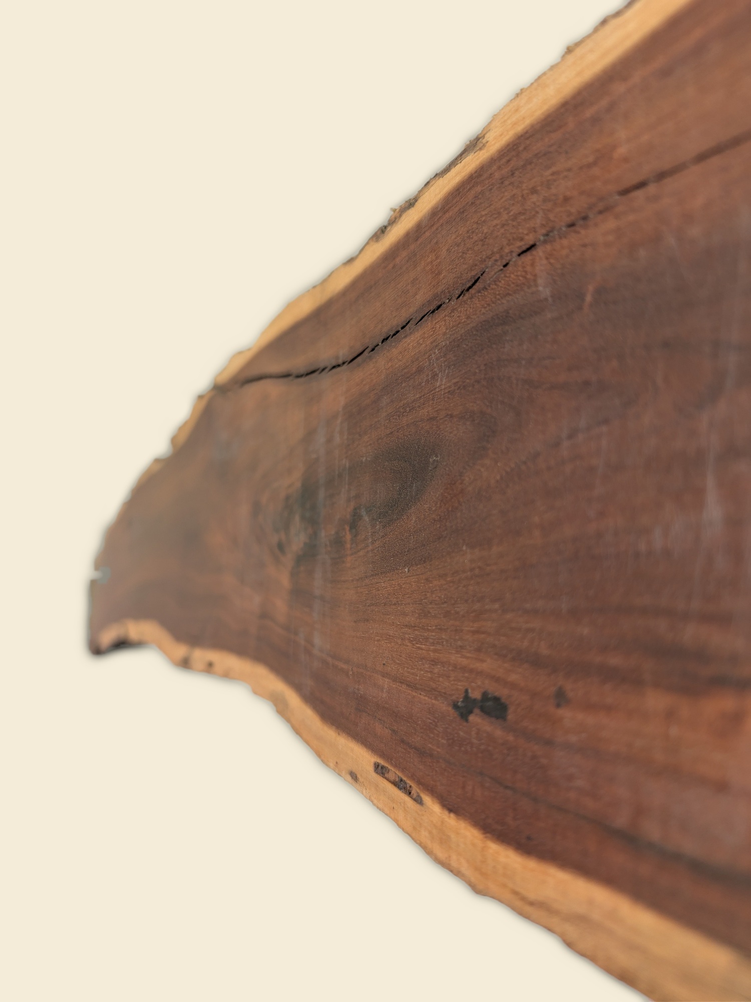 Gidgee live edge slab 00141, grain detail with live edge