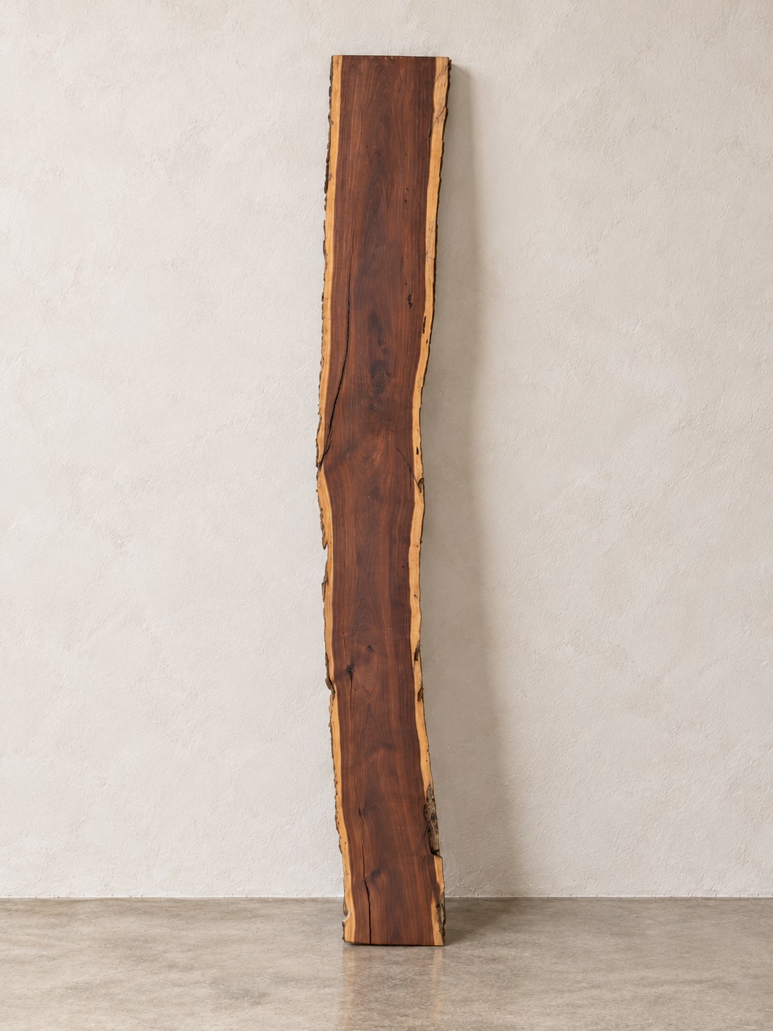 Gidgee live edge slab 00141, front, standing against a wall
