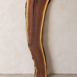 Gidgee live edge slab 00142, front, standing against a wall