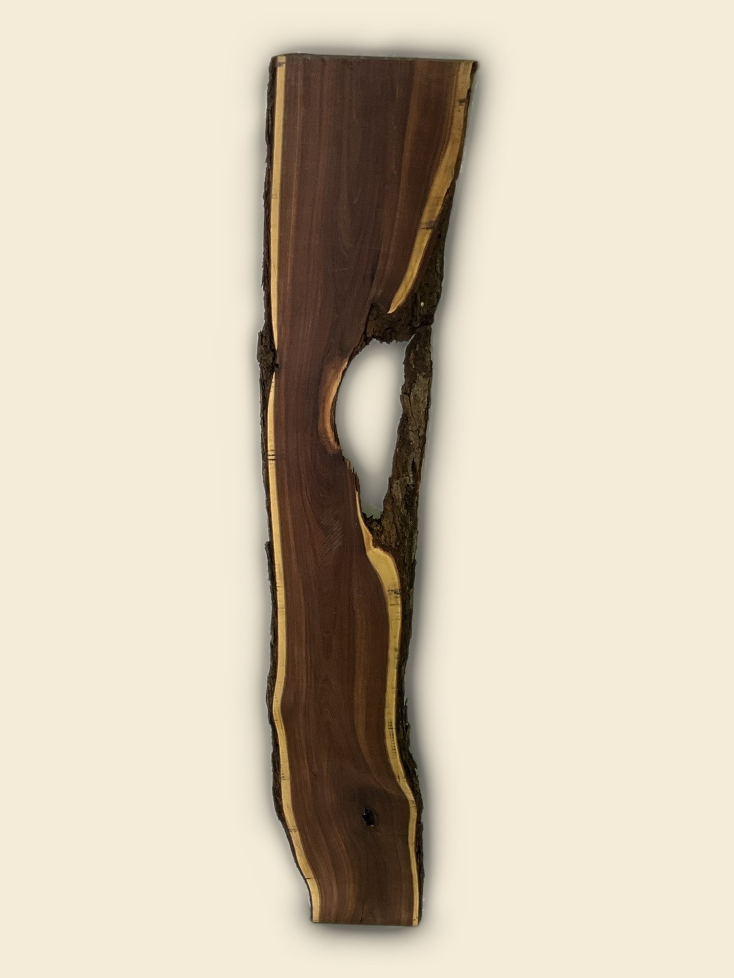 Gidgee live edge slab 00143, back face