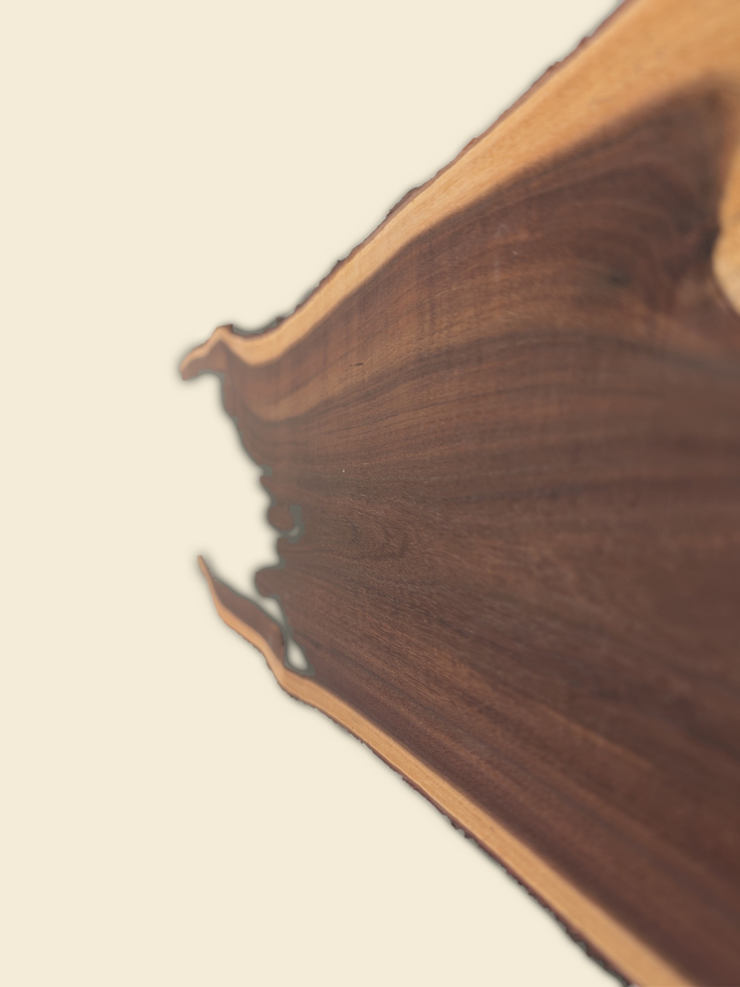 Gidgee live edge slab 00143, grain detail with live edge
